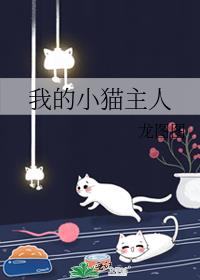 我的小猫主人