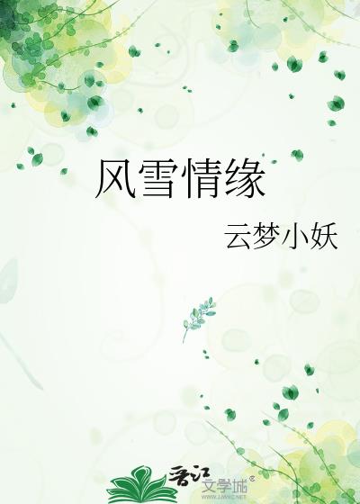 风雪情缘戏曲豫剧