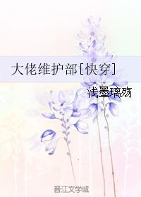 大佬维护部下载