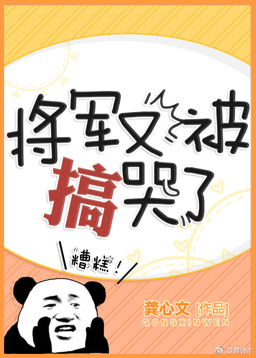 将军又哭了 小说