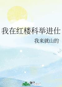 我在红楼科举进仕作者:我来就山的