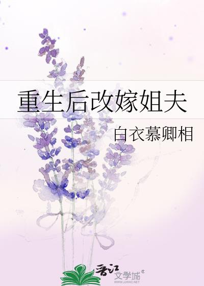 重生后改嫁姐夫小说