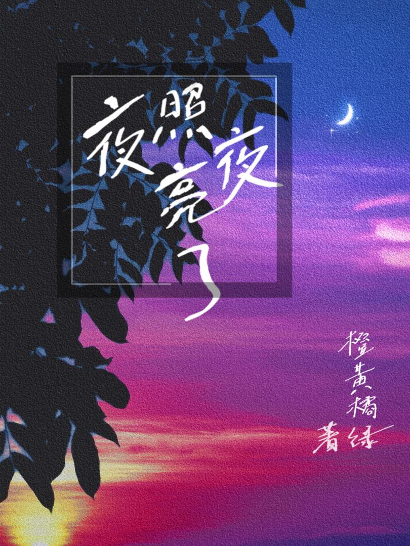 夜照亮了夜