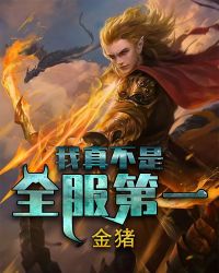 moba:我真不是全职高手