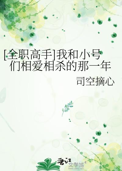 全职高手之与我荣耀