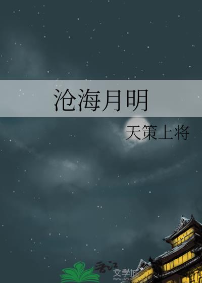 沧海月明珠有泪打三个数字