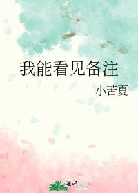 我能看见备注 作者:小苦夏