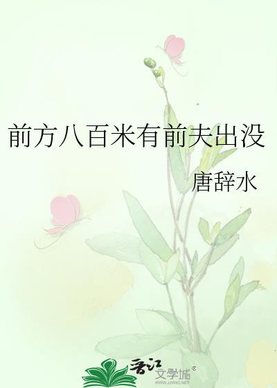 前方七百米游戏解说