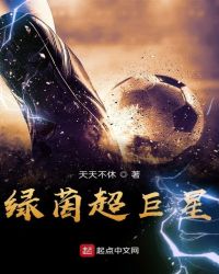 绿茵巨星无错字版