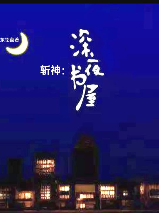 小说斩夜