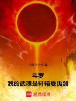 斗罗:我的武魂是轩辕夏禹剑