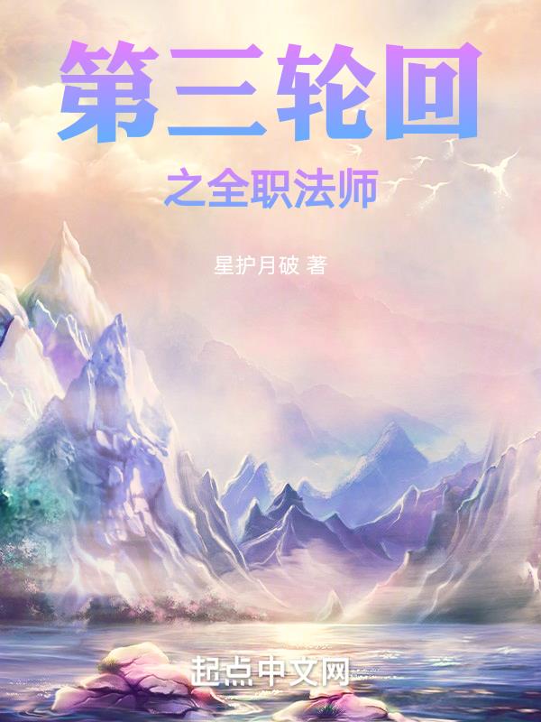 全职法师没回