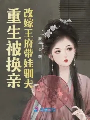 改嫁王府带娃驯夫小说