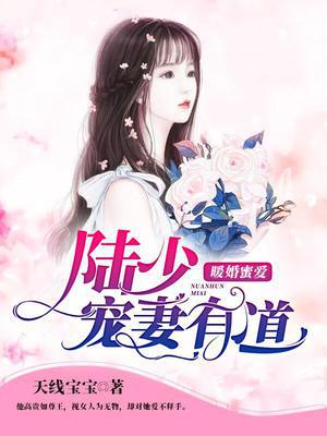 暖婚蜜爱：陆少宠妻有道